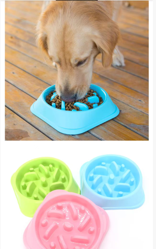 Slow Feeder Dog Bowl – Anti-Gulping Pet Puzzle Bowl